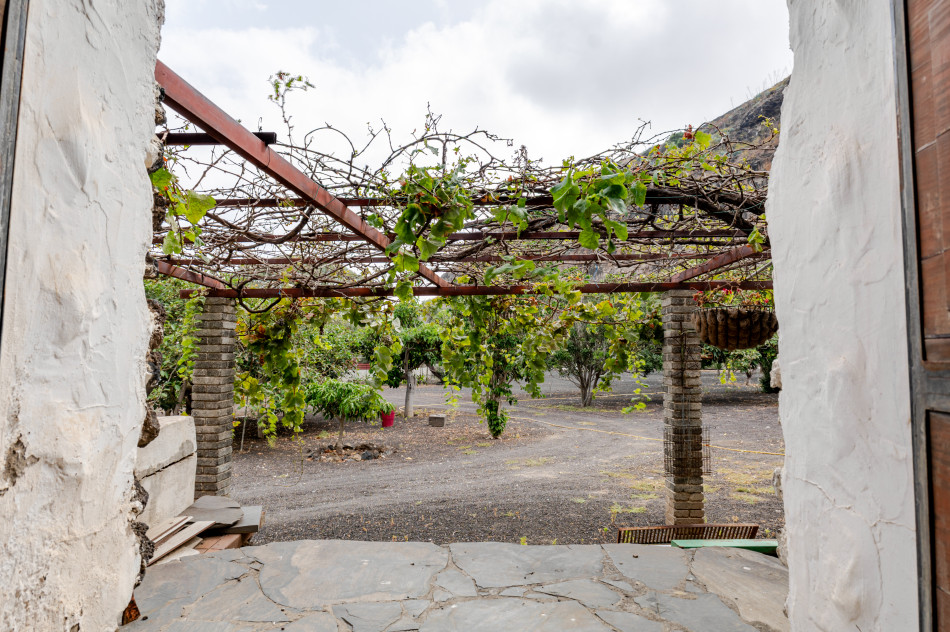 Las Palmas de Gran Canaria, Las Palmas, 35017 — foto 36