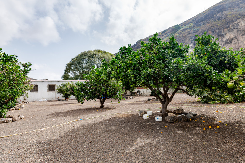 Las Palmas de Gran Canaria, Las Palmas, 35017 — foto 38