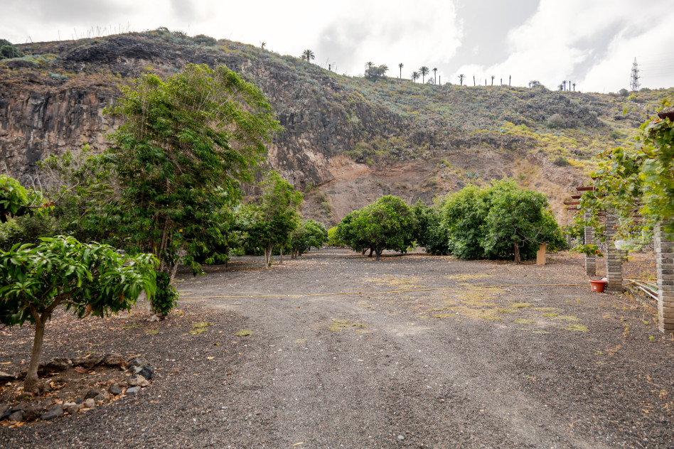 Las Palmas de Gran Canaria, Las Palmas, 35017 — foto 51