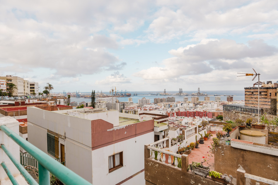 Calle Pedro Minio #14, Las Palmas de Gran Canaria, Las Palmas, 35012 — foto 17