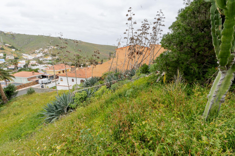 Las Palmas de Gran Canaria, Las Palmas, 35229 — foto 8