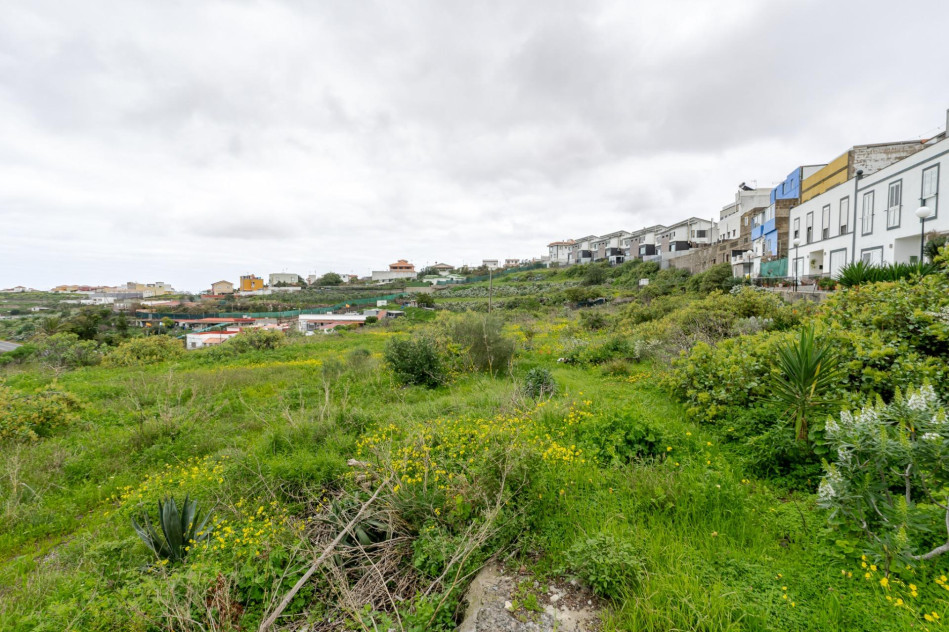 Las Palmas de Gran Canaria, Las Palmas, 35018 — foto 7