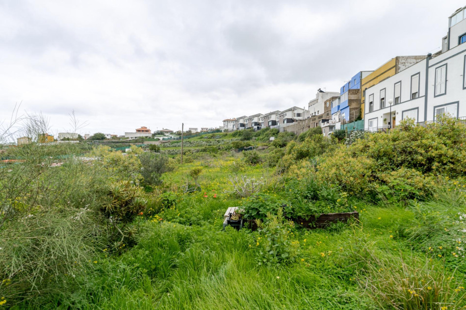 Las Palmas de Gran Canaria, Las Palmas, 35018 — foto 12