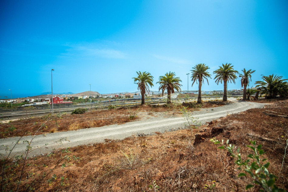 Arucas, Las Palmas, 35400 — foto 5