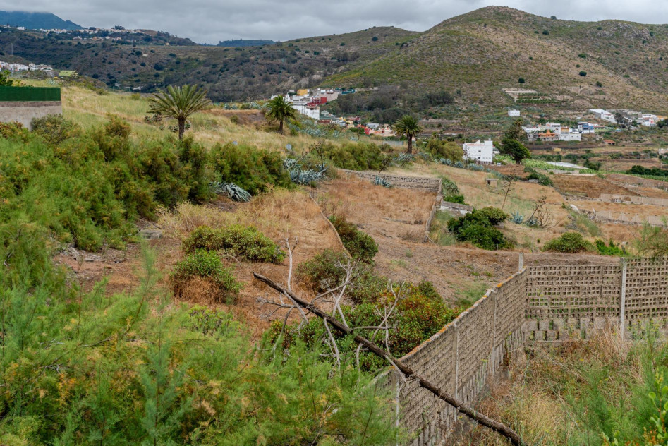 Las Palmas de Gran Canaria, Las Palmas, 35018 — foto 15
