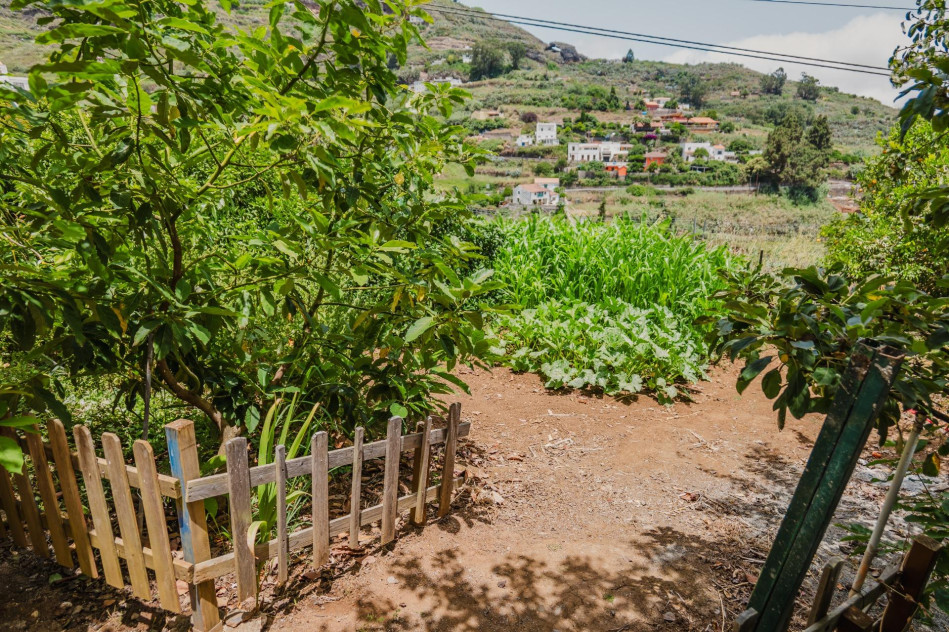 Teror, Las Palmas, 35338 — foto 43