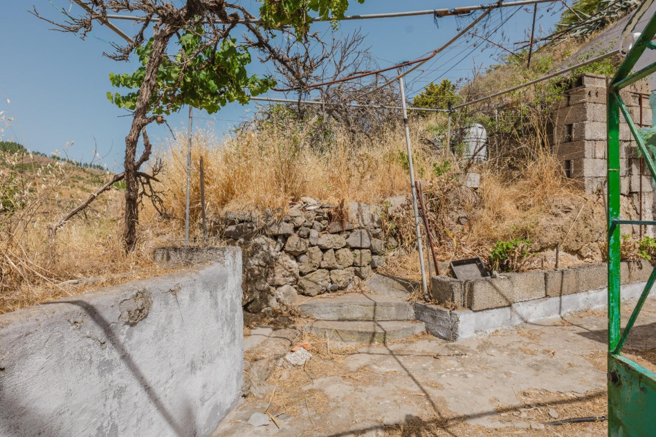 Artenara, Las Palmas, 35350 — foto 4
