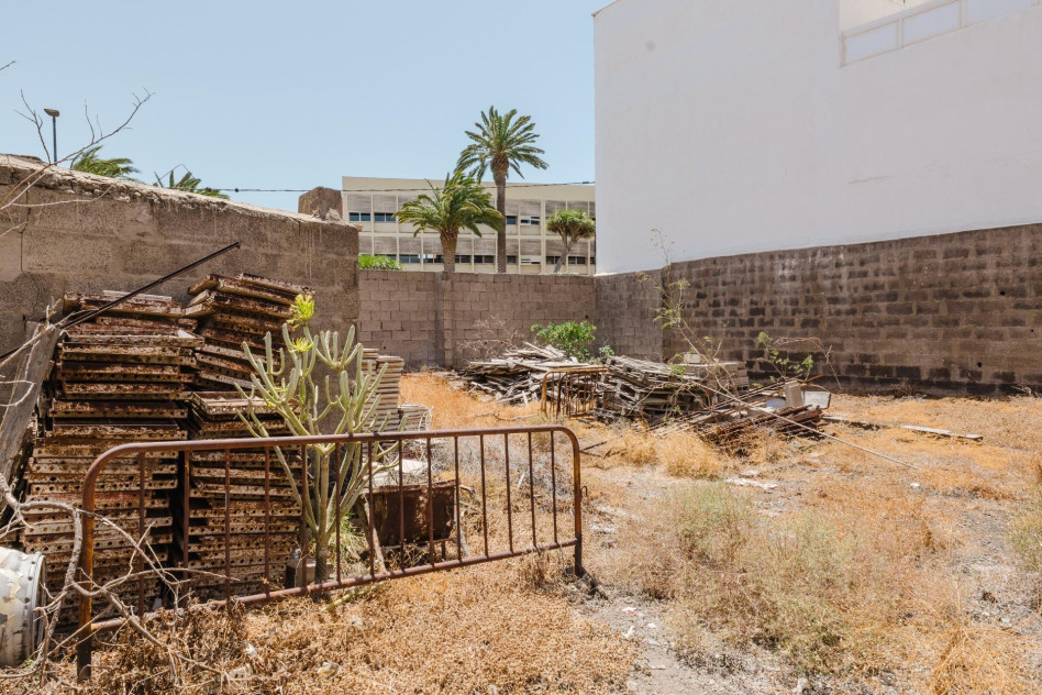 Ingenio, Las Palmas, 35240 — foto 4