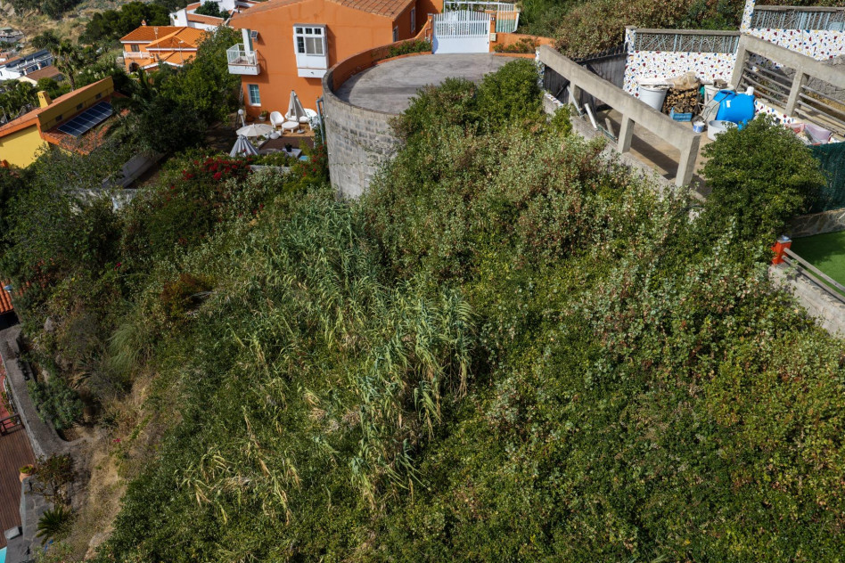 Santa Brígida, Las Palmas, 35300 — foto 7
