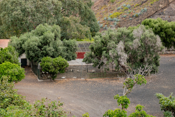 Las Palmas de Gran Canaria, Las Palmas, 35017