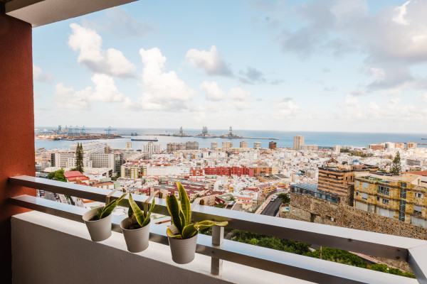 Calle Pedro Minio #14, Las Palmas de Gran Canaria, Las Palmas, 35012