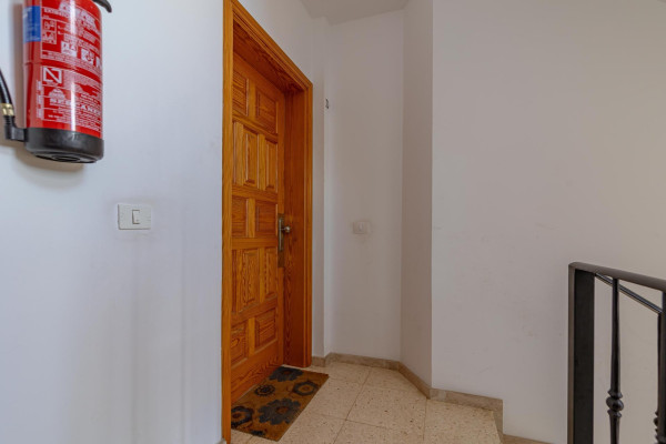 Ingenio, Las Palmas, 35250