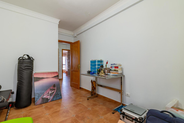 Ingenio, Las Palmas, 35250