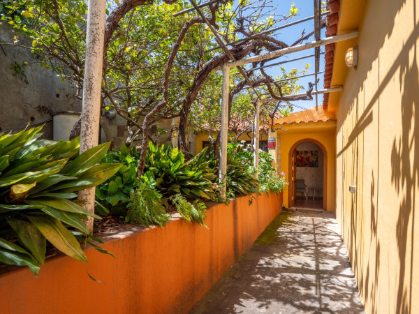 Vega de San Mateo, Las Palmas, 35328