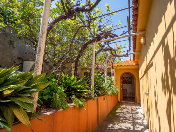 Vega de San Mateo, Las Palmas, 35328
