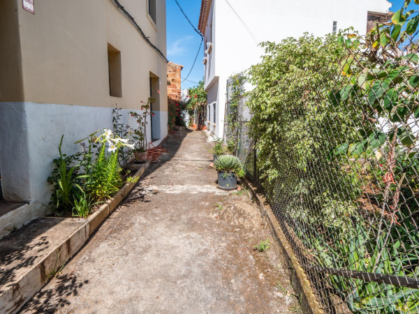 Teror, Las Palmas, 35339