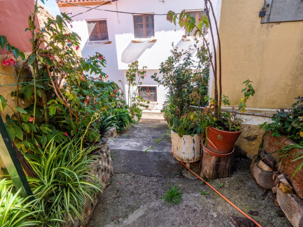 Teror, Las Palmas, 35339