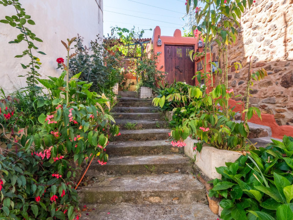 Teror, Las Palmas, 35339
