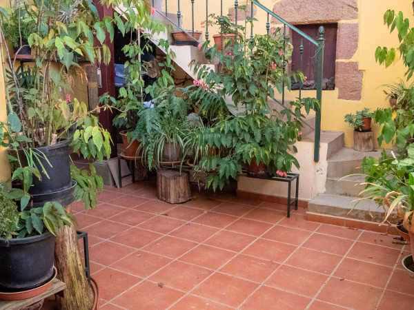Teror, Las Palmas, 35339