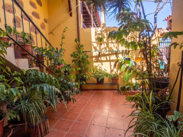 Teror, Las Palmas, 35339