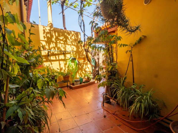 Teror, Las Palmas, 35339