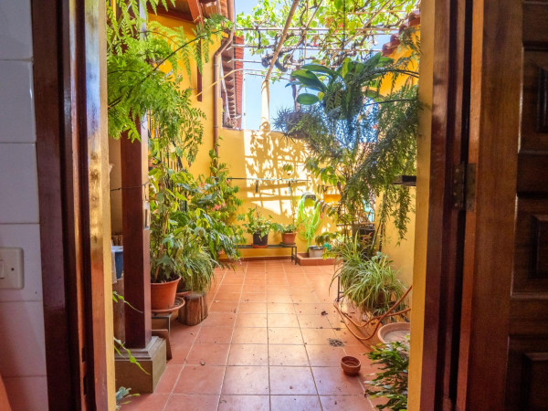 Teror, Las Palmas, 35339