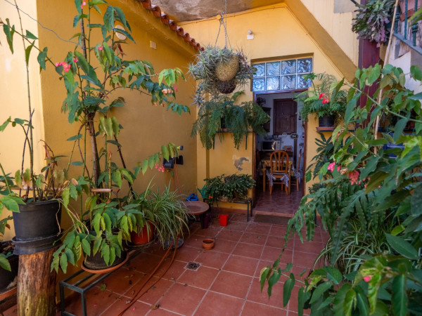 Teror, Las Palmas, 35339