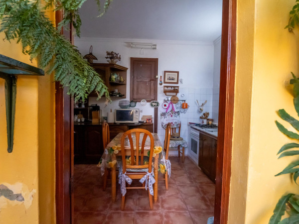 Teror, Las Palmas, 35339
