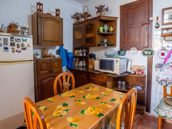 Teror, Las Palmas, 35339