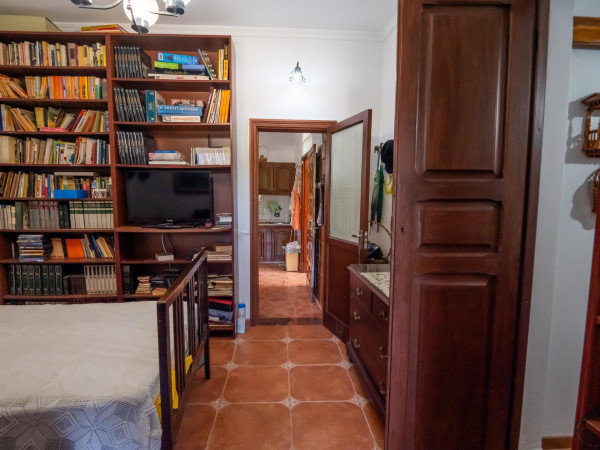 Teror, Las Palmas, 35339
