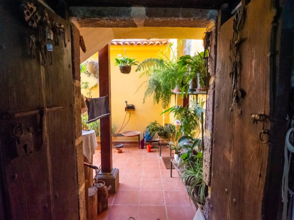 Teror, Las Palmas, 35339