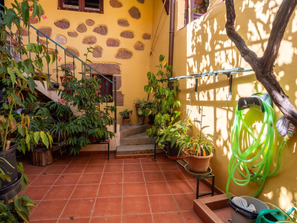Teror, Las Palmas, 35339