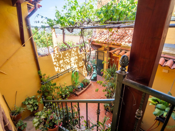 Teror, Las Palmas, 35339