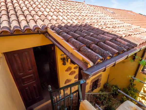 Teror, Las Palmas, 35339