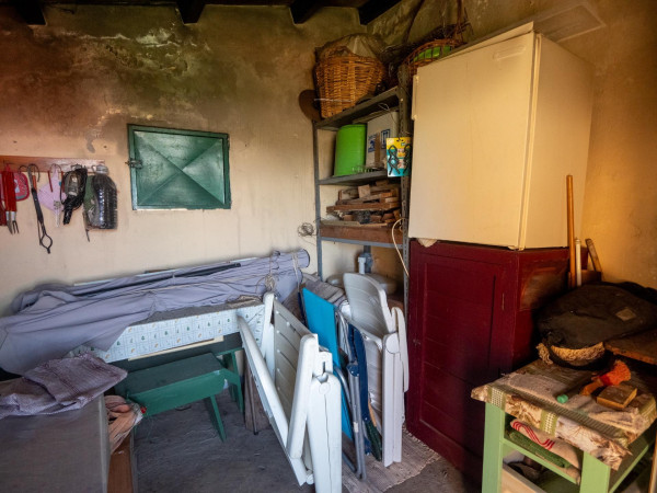 Teror, Las Palmas, 35339