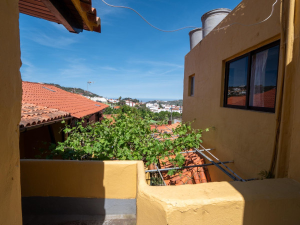 Teror, Las Palmas, 35339