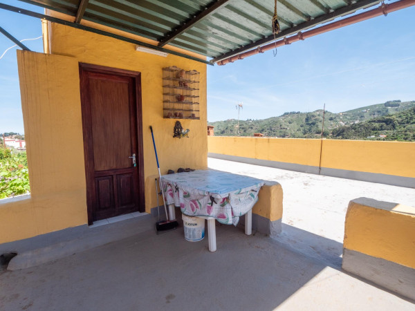 Teror, Las Palmas, 35339