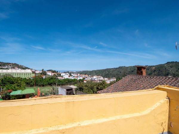 Teror, Las Palmas, 35339