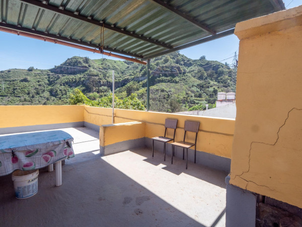 Teror, Las Palmas, 35339
