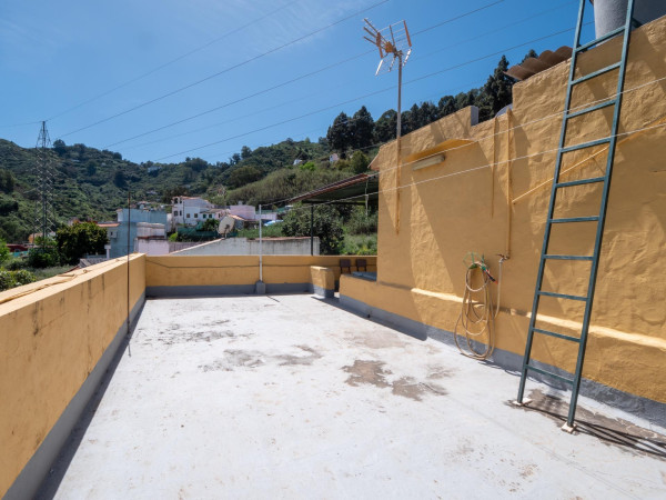 Teror, Las Palmas, 35339