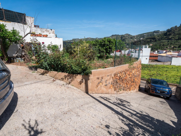Teror, Las Palmas, 35339