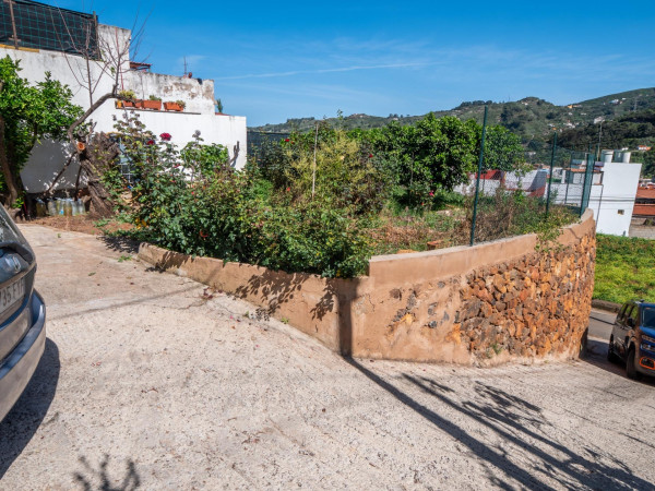 Teror, Las Palmas, 35339