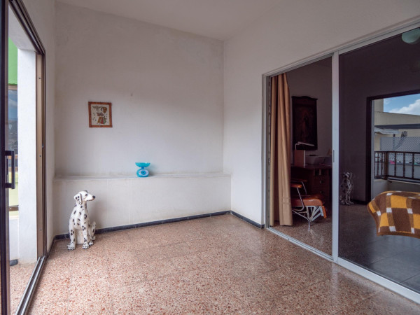 Arucas, Las Palmas, 35415