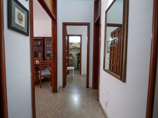 Las Palmas de Gran Canaria, Las Palmas, 35006