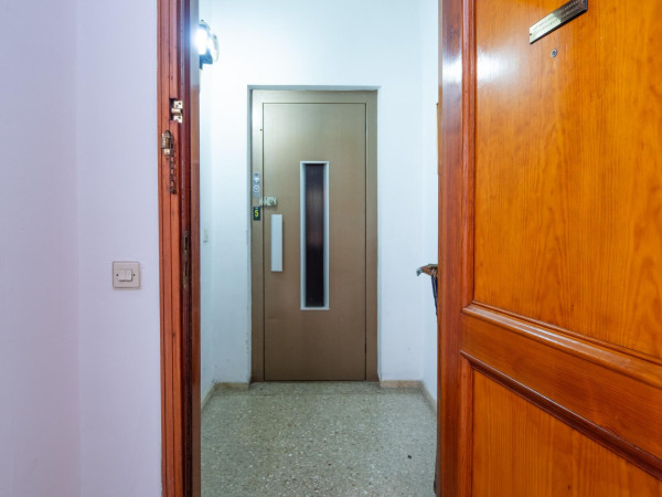 Las Palmas de Gran Canaria, Las Palmas, 35006