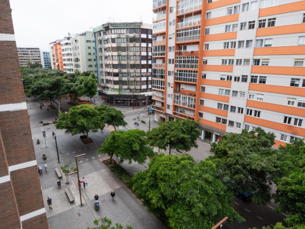 Las Palmas de Gran Canaria, Las Palmas, 35006