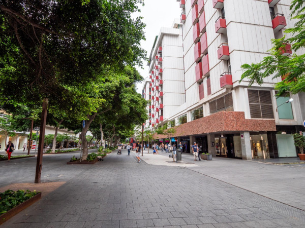 Las Palmas de Gran Canaria, Las Palmas, 35006
