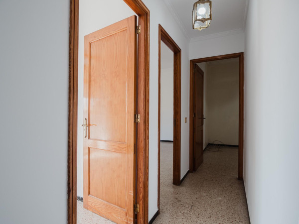 Las Palmas de Gran Canaria, Las Palmas, 35006