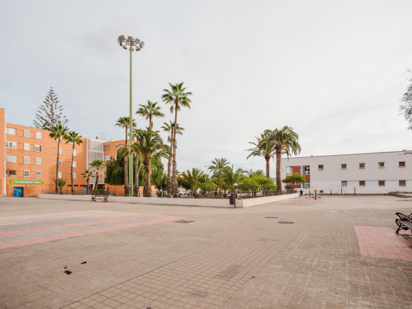 Telde, Las Palmas, 35213