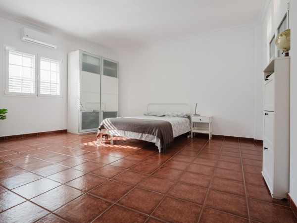 Ingenio, Las Palmas, 35250